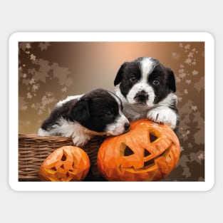 Pumpkin Puppies Sticker